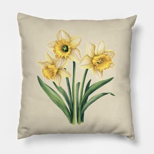 Vintage Daffodil Botanical Watercolor Pillow