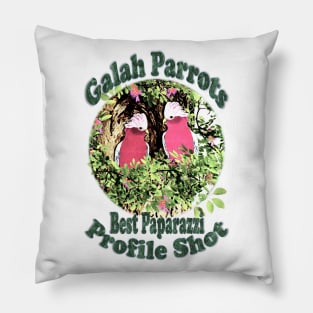 Parrots. Galah Parrots Profile Shot Pillow