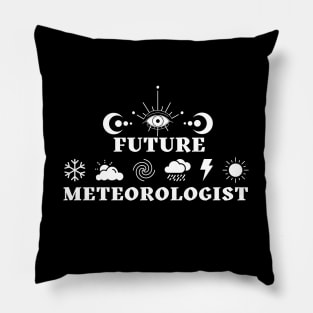 Funny Weather Forecasting - Future Meteorologist Pillow