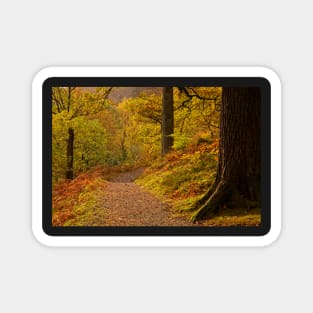 Autumn Trees at Ullswater Magnet