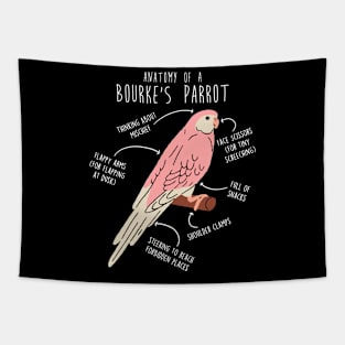 Bourke's Parrot Anatomy Tapestry