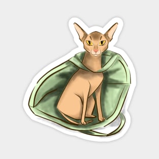 Funny Abyssinian cat Magnet