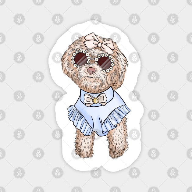 Cute bichon Magnet by Kuchinska design