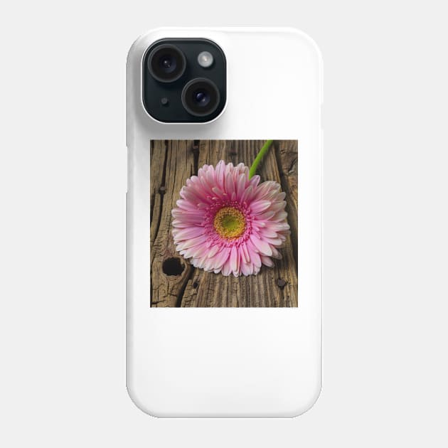 Pink Daisy On Old Boards Phone Case by photogarry