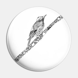 Bird Illustration Pin