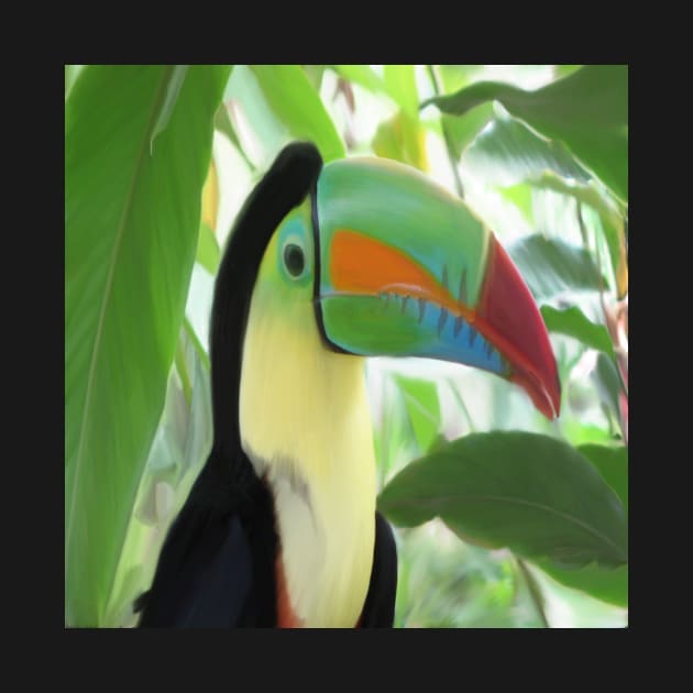 Keel billed Toucan by puravidavisions