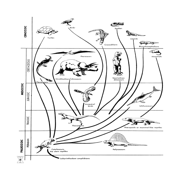 Dinosaur Evolution | Paleontology Prehistoric Science by encycloart