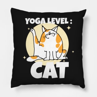 Yoga Level : CAT Pillow