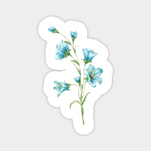 spring blue flowers. watercolor Magnet