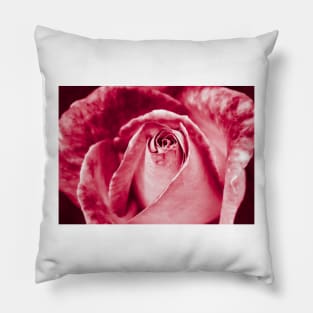 Red Rose Pillow