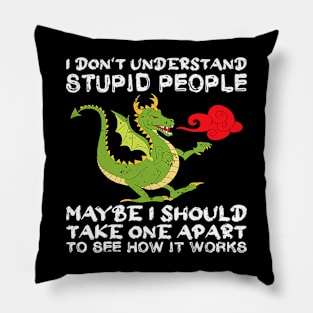 I Dont Understand Stupid People Dragon Lover Graphic Pillow