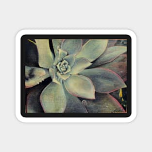 Succulent 2 Magnet