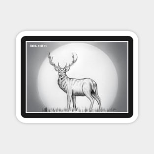 STAG Magnet