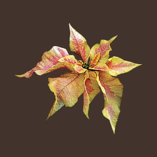 Poinsettias - Fancy Pink and Yellow Poinsettia T-Shirt