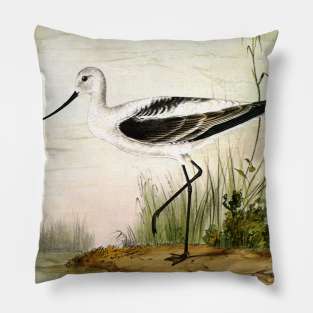 Vintage Avocet Pillow