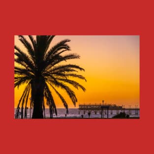 Namibia. Swakopmund. Palm Tree. Sunset. T-Shirt