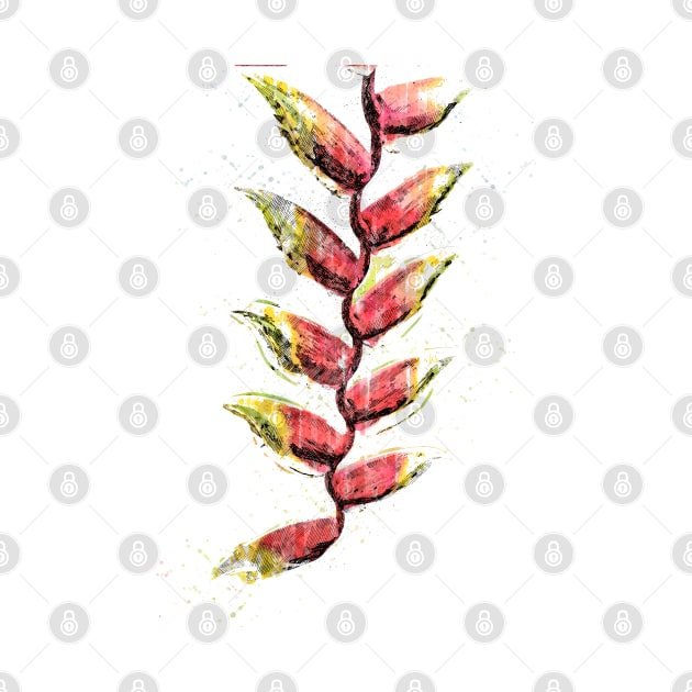 Watecolour painting of Hanging Lobster Claw Flower by GraphicBazaar