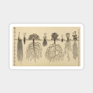 Vintage Roots Magnet