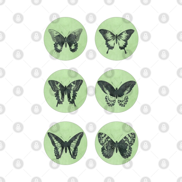 Vintage BUTTERFLIES mega sticker pack green edition by Naumovski