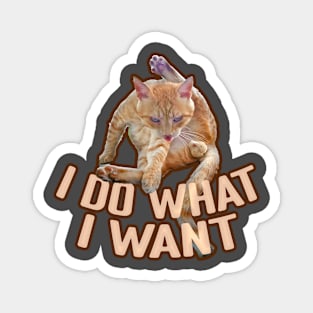 Cheeky Cat - I Do What I Want Magnet