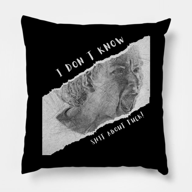 Ruth Langmore - Fresh Quote Design Pillow by tosleep