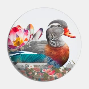 Mandarin Duck Nature Outdoor Imagine Wild Free Pin