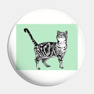 Cute Striped Tabby Cat Art Mint Green Pin