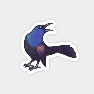 Common Grackle Magnet