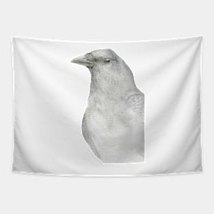 american crow watercolor portrait Tapestry