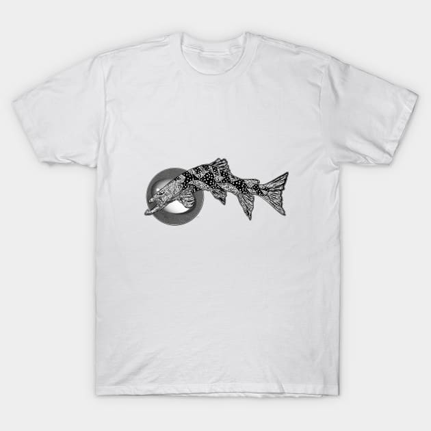 Brown Trout T-Shirt