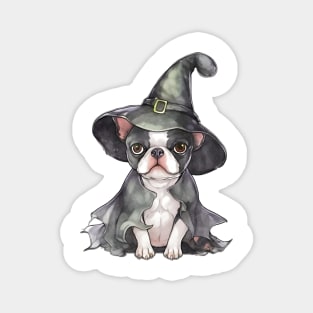 Watercolor Boston Terrier Dog in Witch Hat Magnet