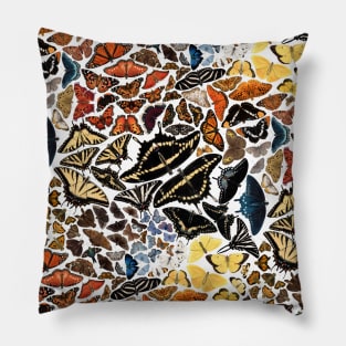 Butterflies of North America Pattern Art Pillow