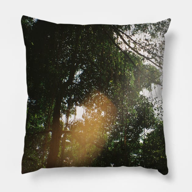 Tropical Serenity: Jungle Canopy Film Photo Print Pillow by HFGJewels