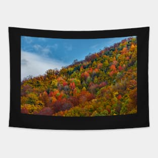 Colorful autumnal landscape Tapestry