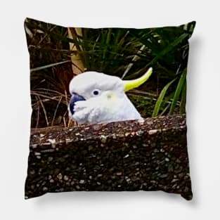 The Cockatoo Takes a Peek! Pillow