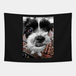 The Black and White Dog Tapestry