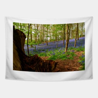 Bluebell Woods Greys Court Oxfordshire UK Tapestry