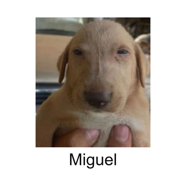 Miguel meme shitpost unisex by Hamza Froug