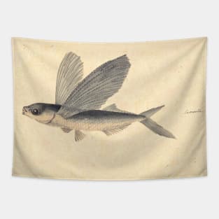 Flying Fish by Mary Symonds Tapestry