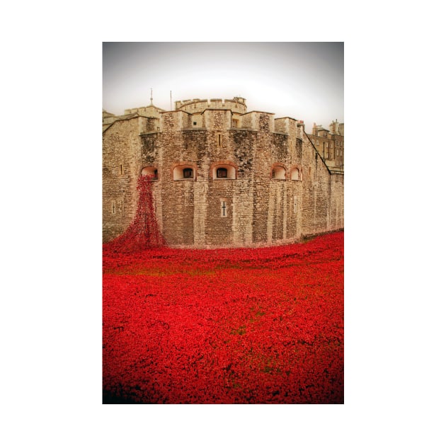 Tower of London Red Poppy Flowers by Andy Evans Photos