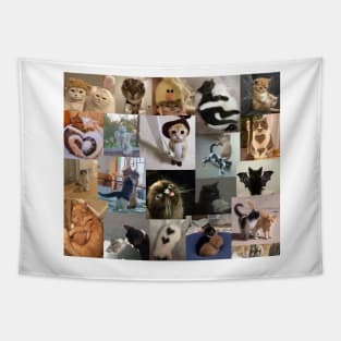 cats aesthetic collage Tapestry