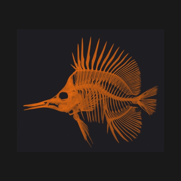 Orange on black fish skeleton by Donkeh23