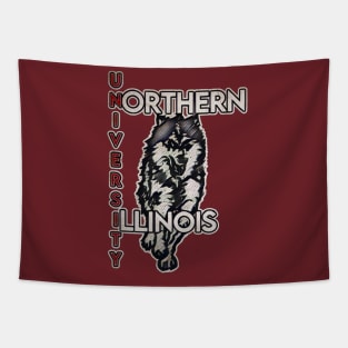 Northern Illinois University Tapestry