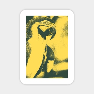 Macaw Parrot Bitmap Effect Magnet