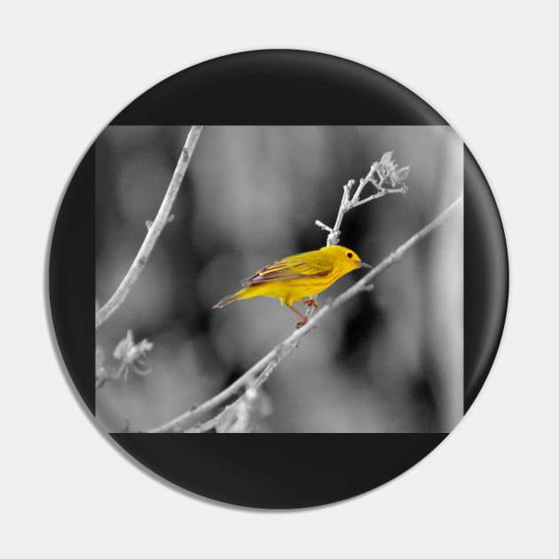 Yellow Warbler Pin by LaurieMinor