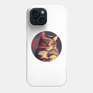 Cuddly floppy cat Phone Case