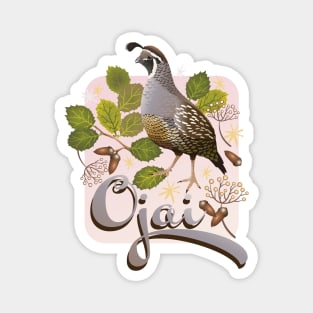 Ojai Quail Magnet