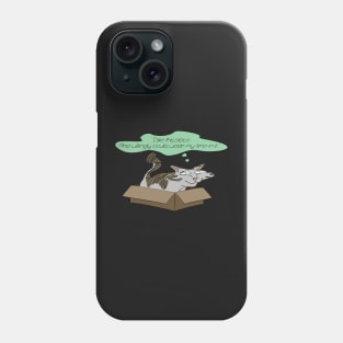 Cat in a box - I like this place (colour) Phone Case