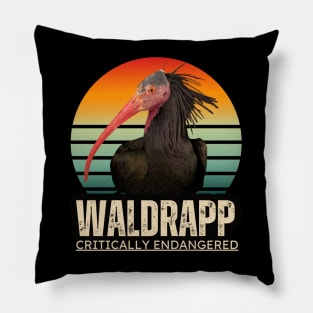 Waldrapp is an endangered specie Pillow