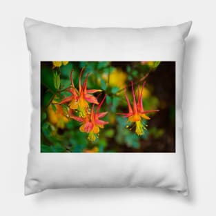 Columbine Trio Pillow